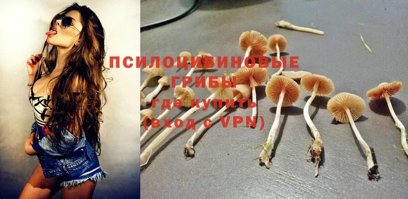 Галлюциногенные грибы Psilocybine cubensis  гидра ONION  Кашира 